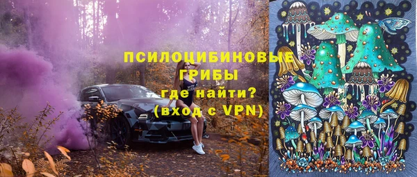 хмурый Козельск