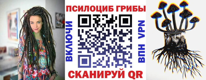 Купить где  Краснокамск  Галлюциногенные грибы Cubensis 